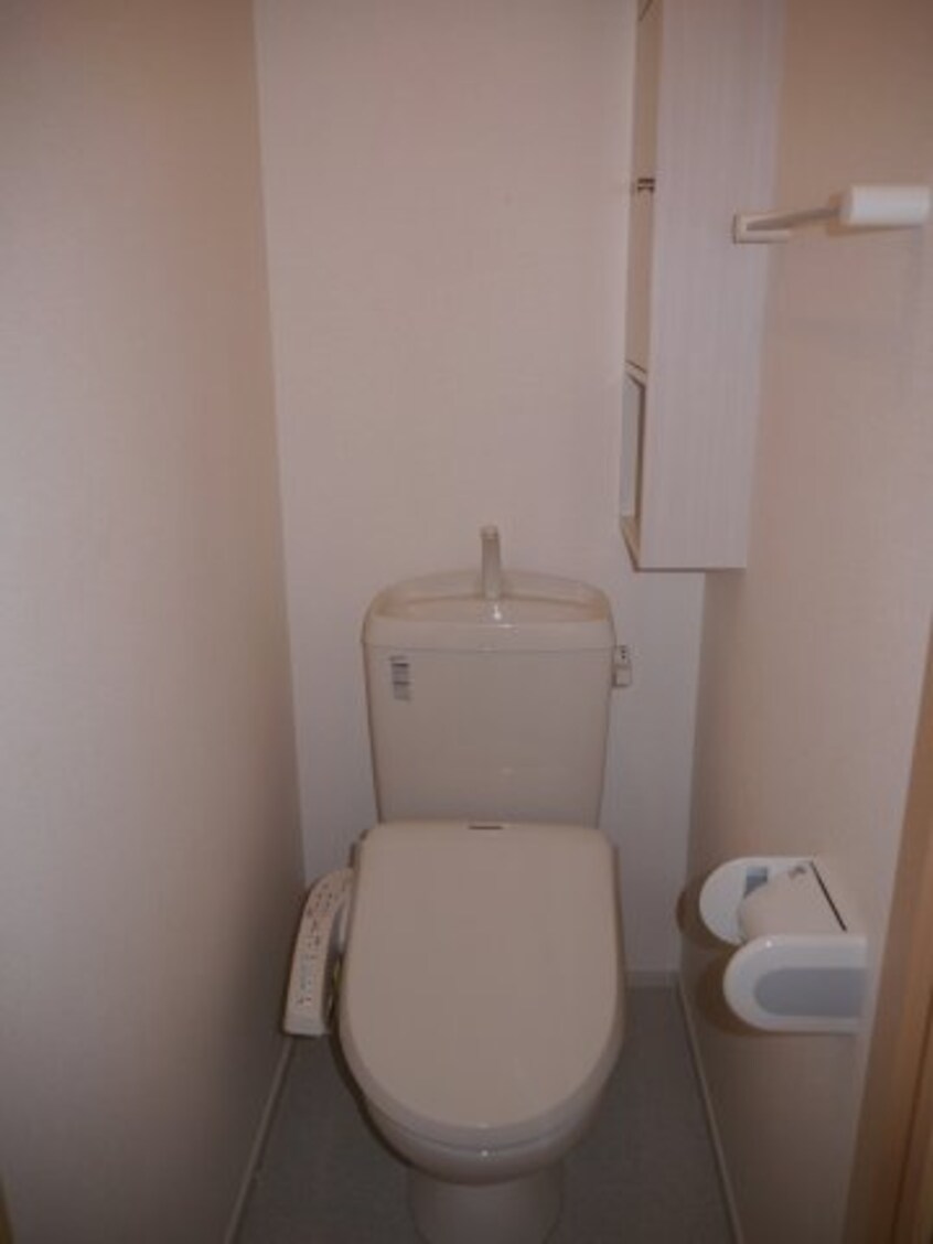 その他 シャイン