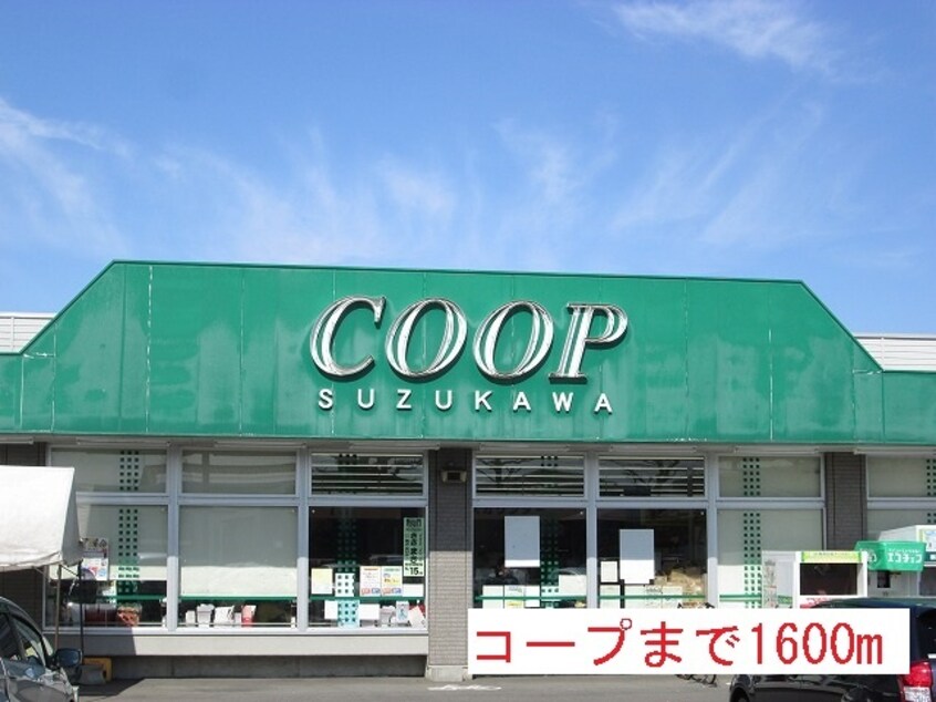 その他 シャイン