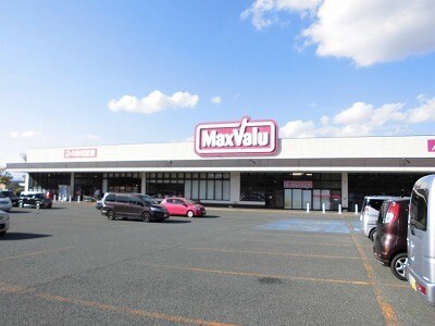 その他 サンホワイト