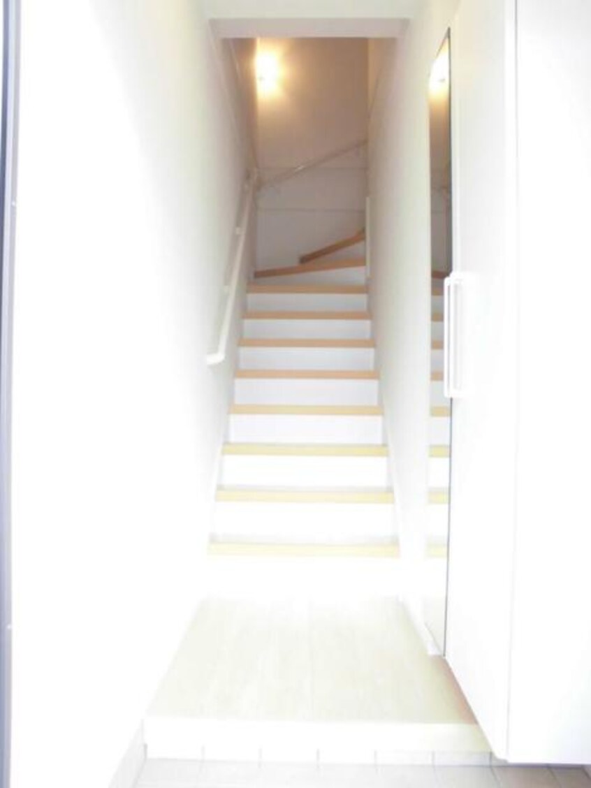 玄関 マスカット　ベリー　Ｂ