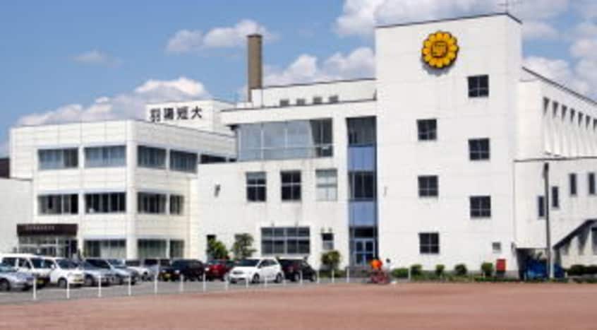 羽陽学園短期大学(大学/短大/専門学校)まで1137m カーサ・ペアール