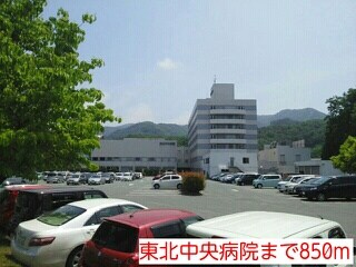 その他 シャイン