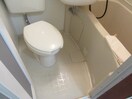 落ち着いた色調のトイレです シティハウス水井