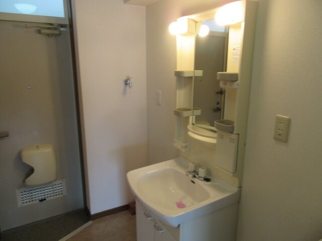 サンプル写真になります。 エクセルさくら