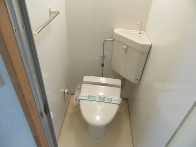 サンプル写真になります。 エクセルさくら