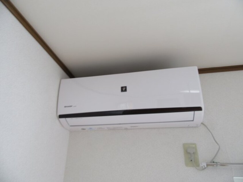 サンプル写真になります。 エクセルさくら