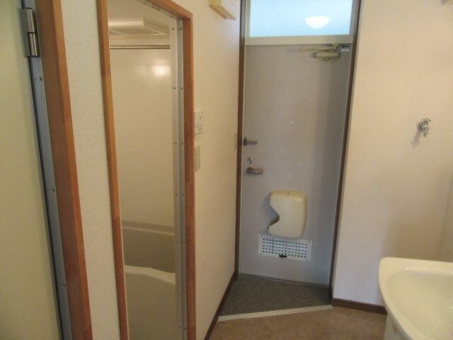 サンプル写真になります。 エクセルさくら