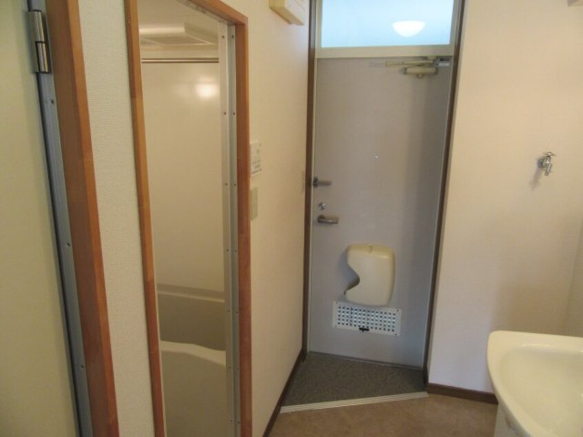 サンプル写真になります。 エクセルさくら