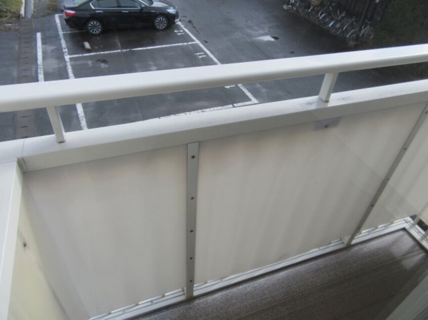 サンプル写真になります。 エクセルさくら