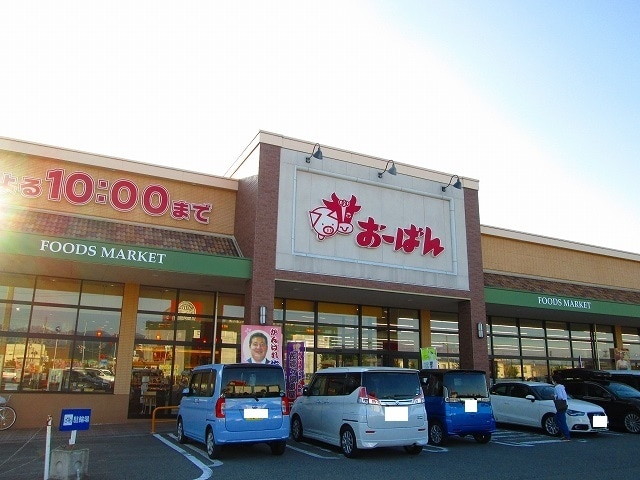 その他 オアシス