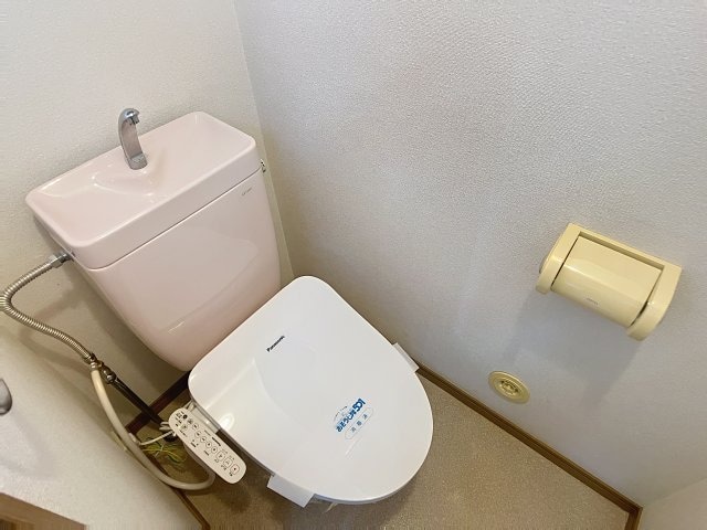 同タイプサンプル写真 プロシードミュー