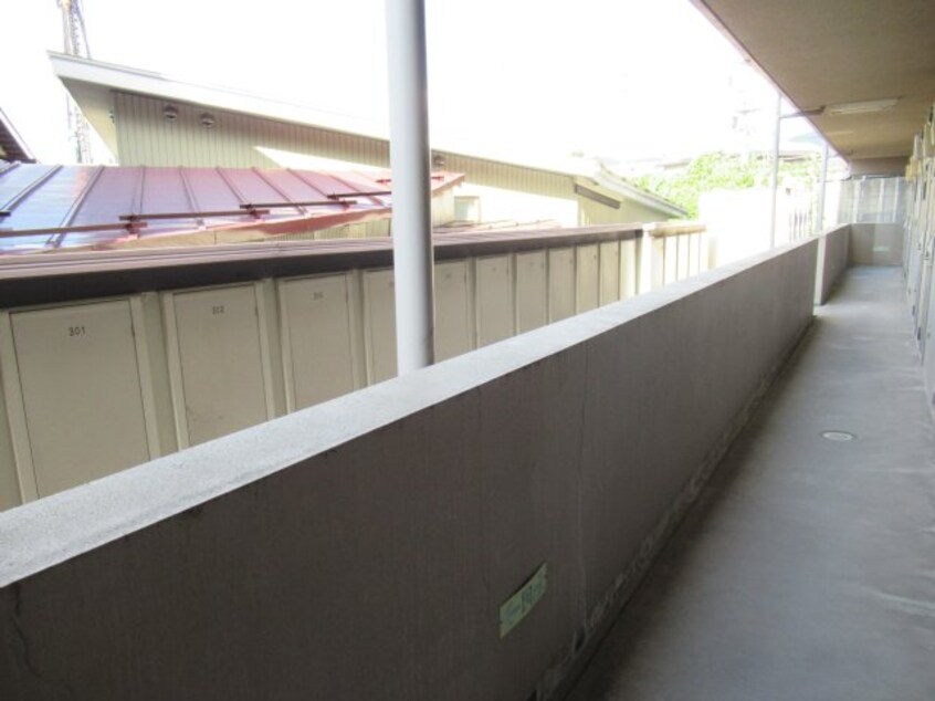 同タイプサンプル写真 プロシードミュー