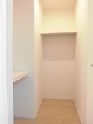 収納 マスカット　ベリー　Ｂ