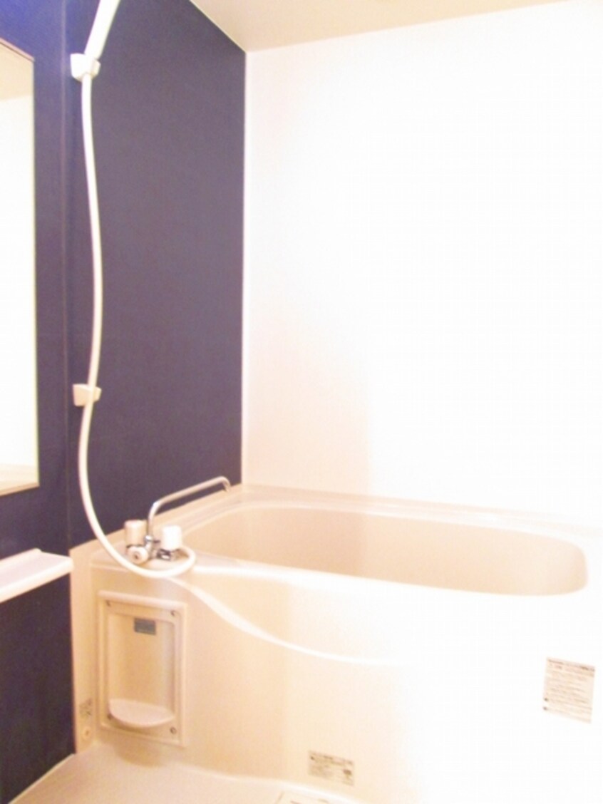 バス／シャワールーム等 秋桜　２０１１　Ａ