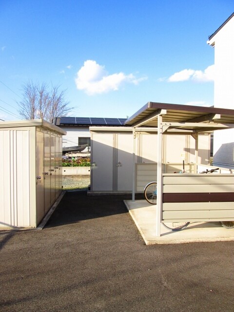 その他 秋桜　２０１１　Ａ