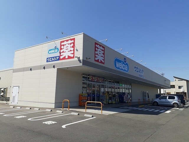 その他 秋桜　２０１１　Ａ