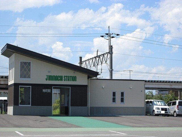 その他 秋桜　２０１１　Ａ