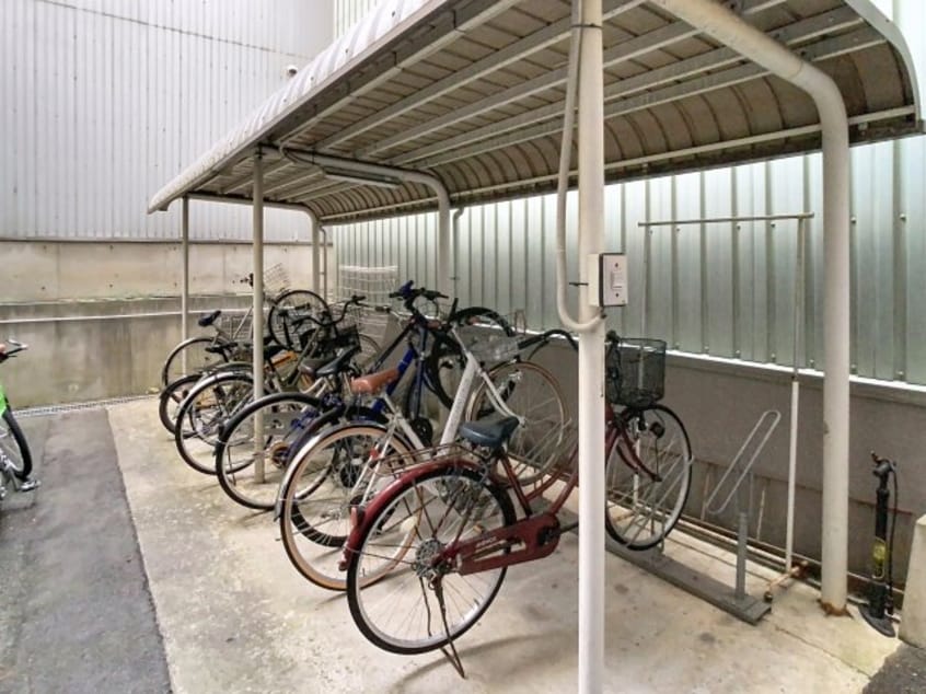  ハイデンスニーズ