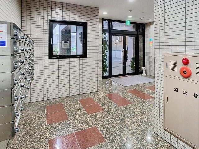  ハイデンスニーズ