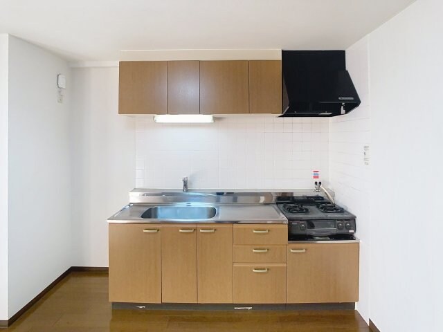  ハイデンスニーズ