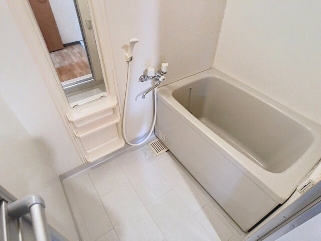  ハイデンスニーズ