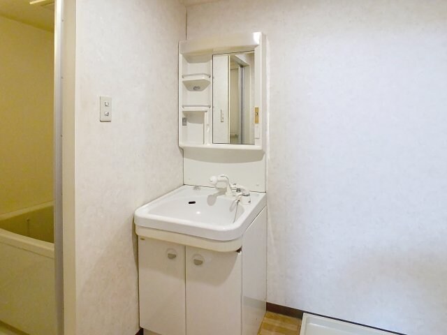  ハイデンスニーズ