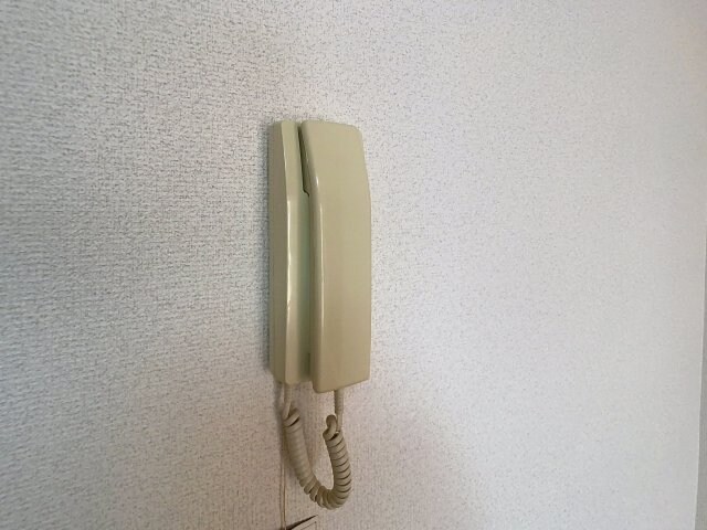  ハイデンスニーズ