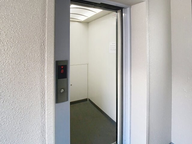  ハイデンスニーズ