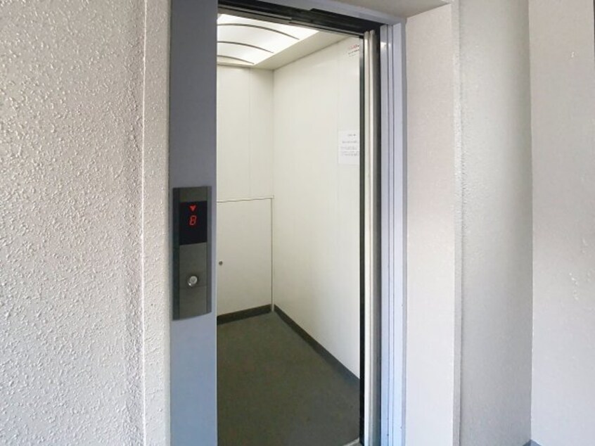  ハイデンスニーズ