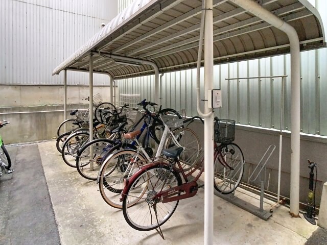  ハイデンスニーズ