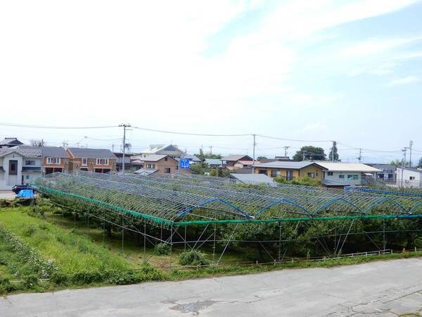 ビレッジハウスの同一物件・同一タイプの間取りの写真です 奥羽本線・山形線/東根駅 徒歩21分 5階 築45年