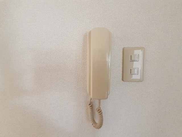 セキュリティ サンホワイト