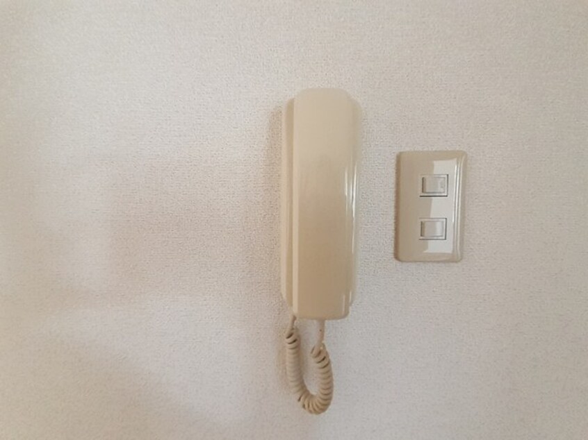 セキュリティ サンホワイト