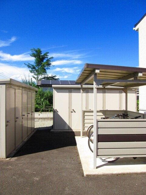 その他 秋桜　２０１１　Ａ