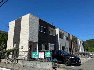 マハロ阿成植木