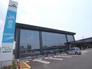 JAぎふ羽島中央支店(銀行)まで708m ルミエール青山　Ⅲ