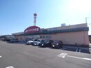 クスリのアオキ岐阜羽島駅前店(ドラッグストア)まで1285m サンビレッジＷＩＴＨ