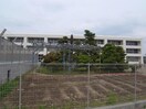 羽島市立福寿小学校(小学校)まで675m Ｇｒｅｅｎ　Ｇａｒｄｅｎ　Ｌｕｐｉｎａ　Ｂ棟