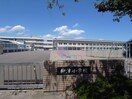 岐阜市立柳津小学校(小学校)まで1514m ＭＳフレグランス