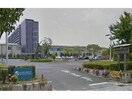 岐阜県立看護大学(大学/短大/専門学校)まで1547m メイプルタウン