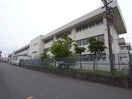 羽島市立竹鼻小学校(小学校)まで1377m サンフラワー正木Ⅲ