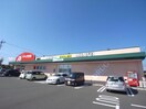 クスリのアオキ福寿店(ドラッグストア)まで664m シルクハイツⅡ