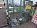  サンフラワー正木Ⅱ