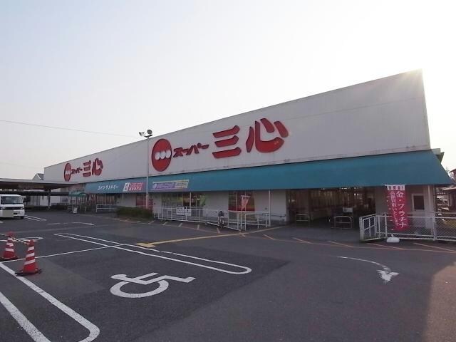 スーパー三心羽島店(スーパー)まで665m サンフラワー正木Ⅱ