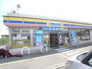 ミニストップ羽島尾濃大橋店(コンビニ)まで522m プラシード（正木町）