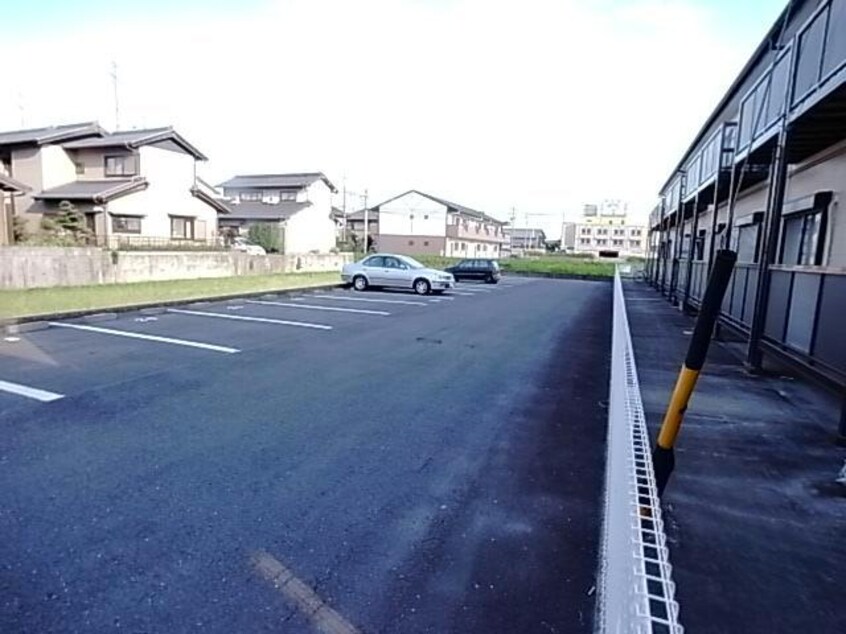  Sun Flower正木Ⅰ