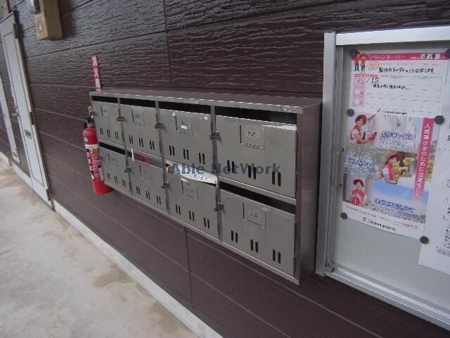  ステイシア・ホリ　2