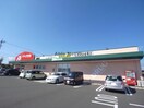 クスリのアオキ福寿店(ドラッグストア)まで1657m ステイシア　ホリ　NO2