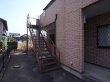 フェリス昇利
