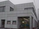大垣共立銀行羽島支店(銀行)まで489m ドマーニ羽島